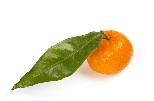 Fruta fresca de mandarina sobre blanco —  Fotos de Stock