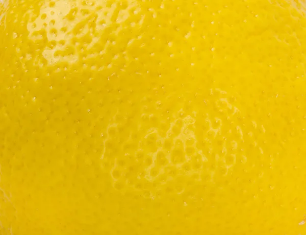 Лимонні фрукти на білому тлі — стокове фото