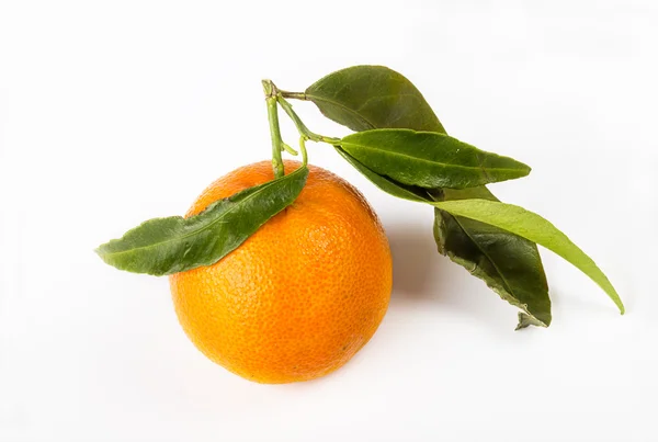 Fruta de tangerina suculenta fresca em branco — Fotografia de Stock