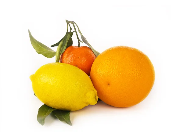 Frutas cítricas sobre fundo branco: tangerina, limão e laranjasFrutas cítricas sobre fundo branco: tangerina, limão e laranja — Fotografia de Stock
