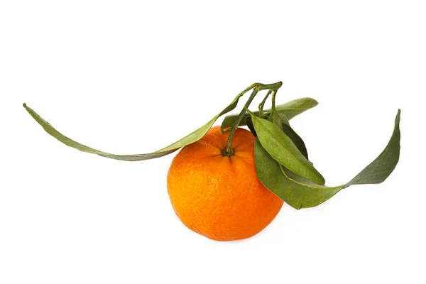 Frutas jugosas frescas de mandarina sobre blanco —  Fotos de Stock