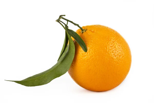 Fruta naranja sobre fondo blanco —  Fotos de Stock