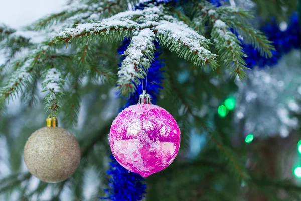 Nuovo albero di anno all'aperto — Foto Stock