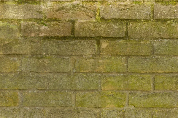 Alte Ziegelmauer mit Moos — Stockfoto