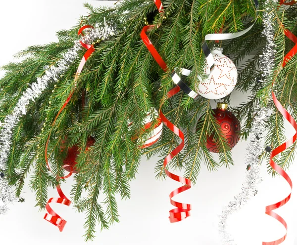 Christmas ball on a branch — Stock Photo, Image