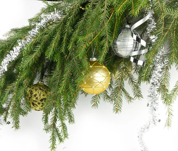 Bola de Navidad en una rama — Foto de Stock