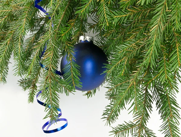 Christmas ball on a branch — Stock Photo, Image