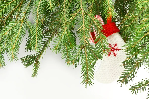 Christmas ball on a branch — Stock Photo, Image