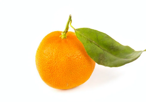 Fruits de la mandarine — Photo