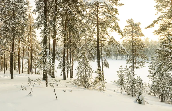 Russian winter lake covered with snow and ice — Stock Photo, Image