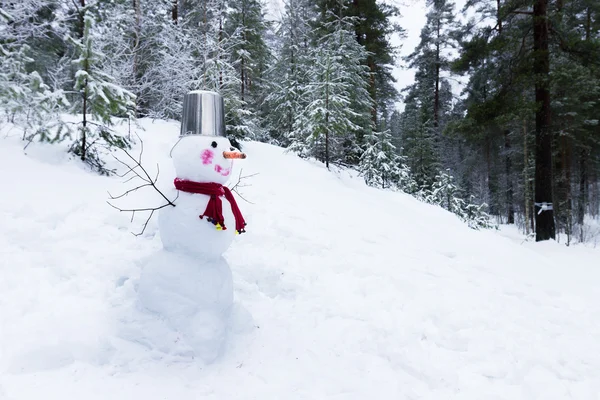 Bonhomme de neige avec seau sur la tête — Photo