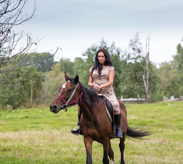 Elegant attraktiv kvinna som rider en häst — Stockfoto