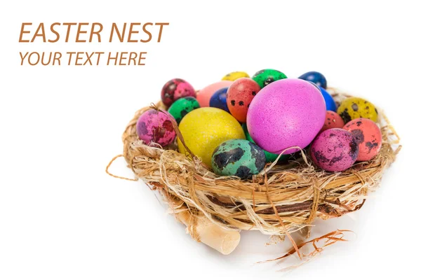 Easter eggs in the nest — Stock Photo, Image