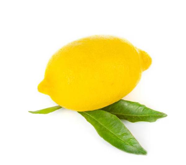 Лимонні фрукти на білому тлі — стокове фото