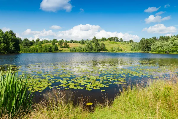 Landskap med sjö — Stockfoto