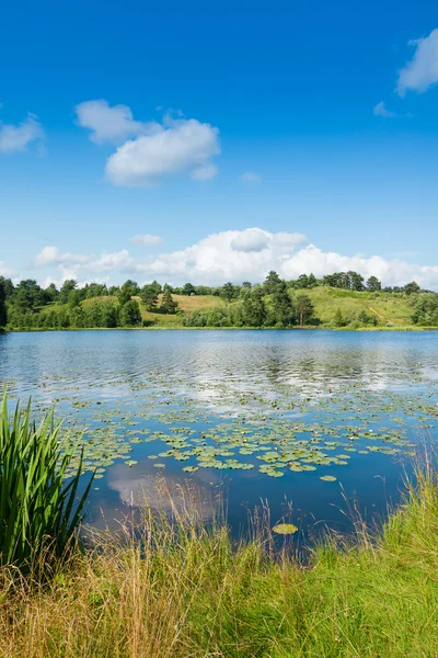 Landscape with lake — Stock Photo, Image