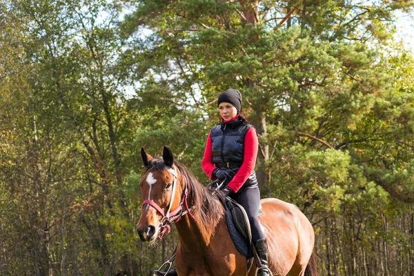 Elegante mujer atractiva montando un caballo — Foto de Stock