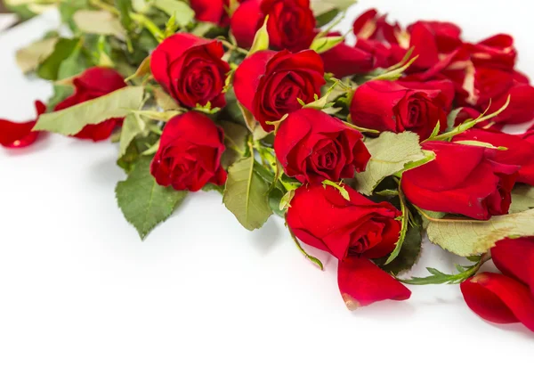 Perfect Valentines roses — Stock Photo, Image