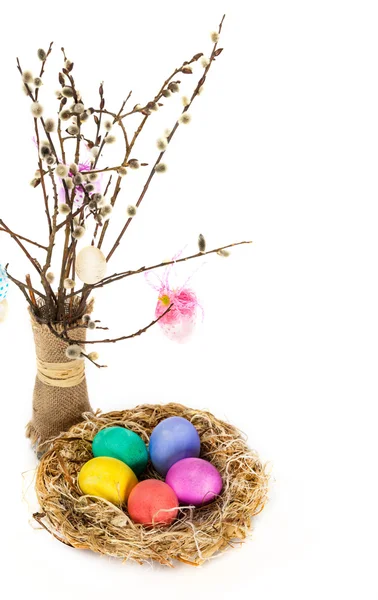 Wielkanocne jaja w gnieździe i tulipan kwiaty — Zdjęcie stockowe