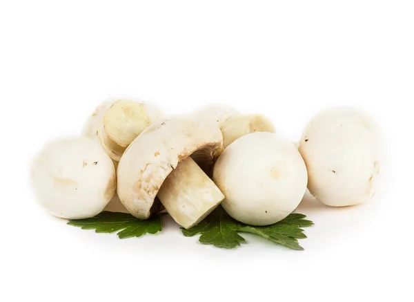 Mushrooms on white — Stock Photo, Image