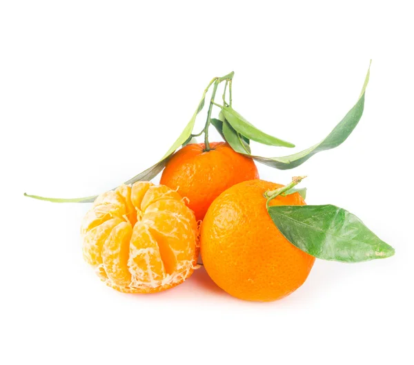 Tangerine vruchten — Stockfoto