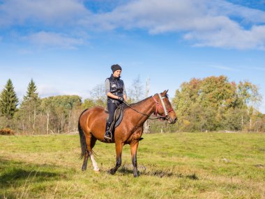 zarif çekici kadın bir binicilik