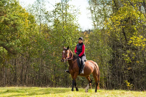 Elegant attraktiv kvinna som rider en häst — Stockfoto