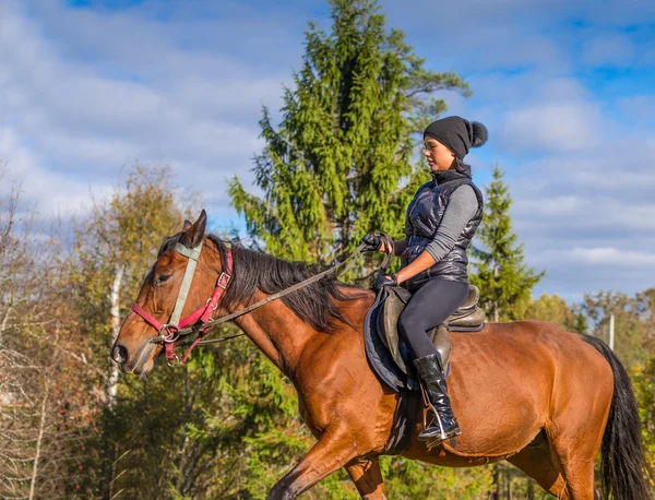 Elegante mulher atraente montando um cavalo — Fotografia de Stock