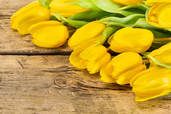 Kwiat żółty tulipan — Zdjęcie stockowe
