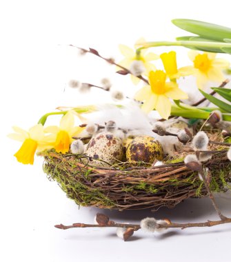 Nergis ile yuvadaki yumurta