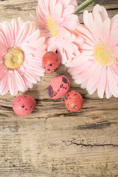 Easter eggs with gerbera daisy flowers — Stock Photo, Image