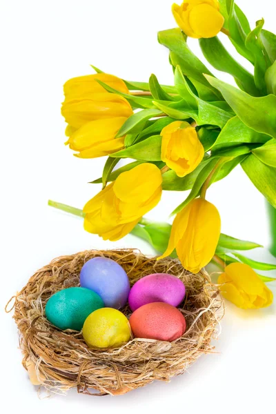 Uova di Pasqua nel nido e fiori di tulipano — Foto Stock
