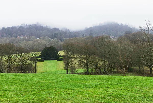 Beautiful trees and field with mist fog — Stock Photo, Image