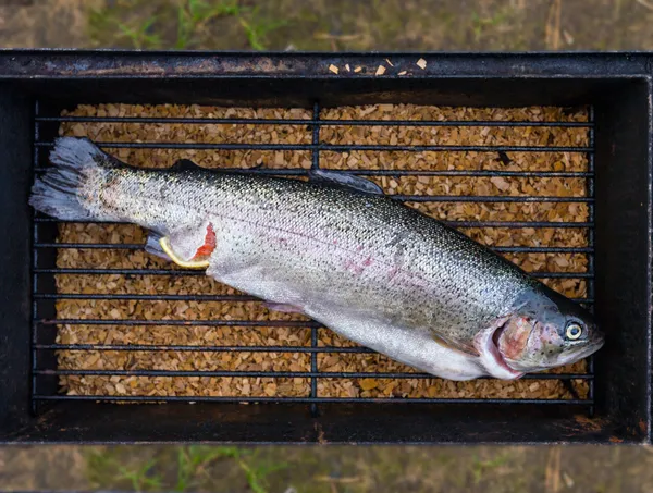 Frischer Forellenfisch bereit zum Kochen — Stockfoto