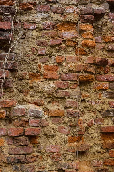 Cihlová zeď pozadí — Stock fotografie