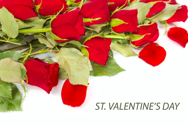 Perfect Valentines roses — Stock Photo, Image