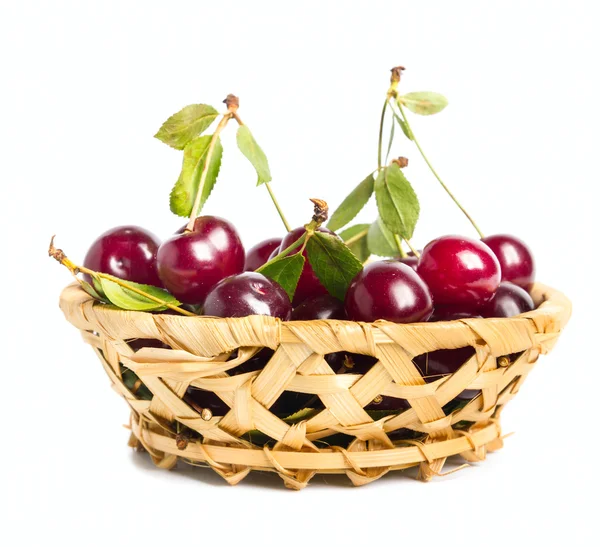 Čerstvé třešňové ovoce — Stock fotografie
