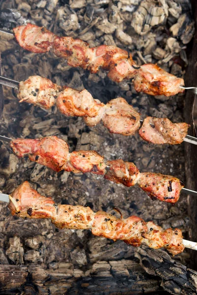Barbecue outdoors — Stock Photo, Image