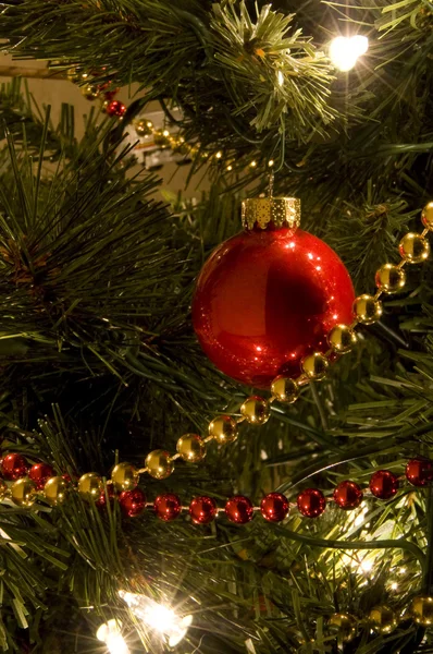 Різдвяна ялинка крупним планом — стокове фото