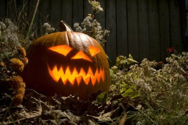 Halloween jack o fener gece