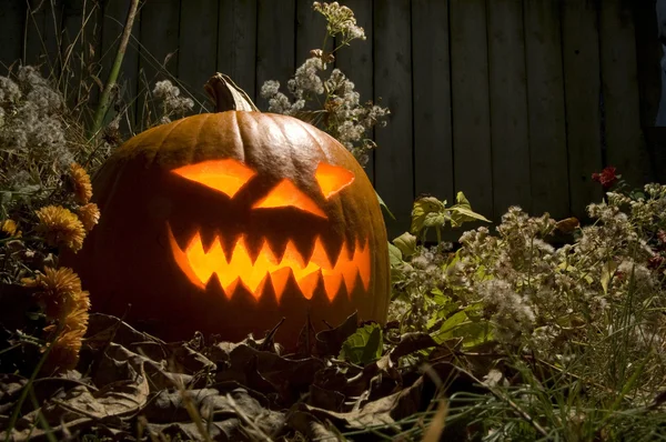 Halloween Jack O Linterna por la noche Imagen de archivo