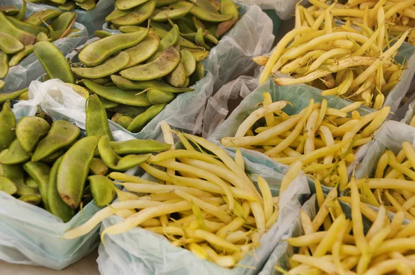 Produtos hortícolas — Fotografia de Stock