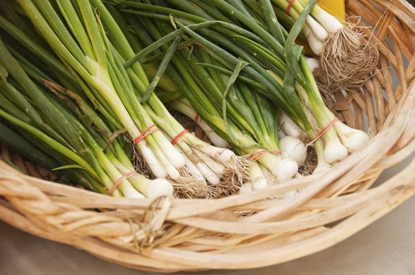 Scallions Stok Fotoğraf