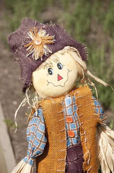 Cute scarecrow — Stock Photo, Image