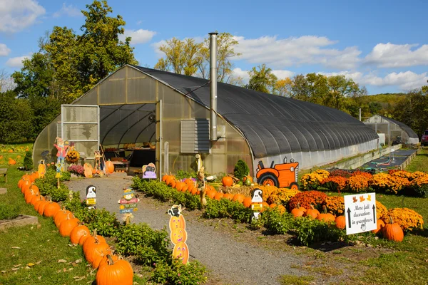Greenhouse in the fall Stock Image