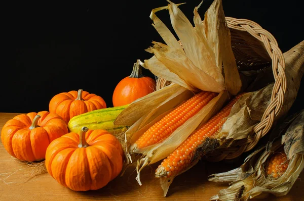 Cornucópia — Fotografia de Stock