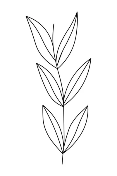 Рисунок Весенние Цветочные Растения Листьями Векторная Ветвь Ручной Работы Фона — стоковый вектор
