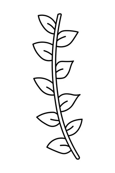 Tak Bloemen Doodle Geïsoleerde Objecten Bloem Cartoon Vector Hand Getekend — Stockvector