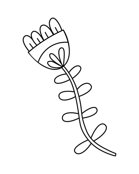 花的装饰 设计图 明信片 草药茶 给成人和儿童的网页花着色 背景上孤立的涂鸦式矢量图解 — 图库矢量图片