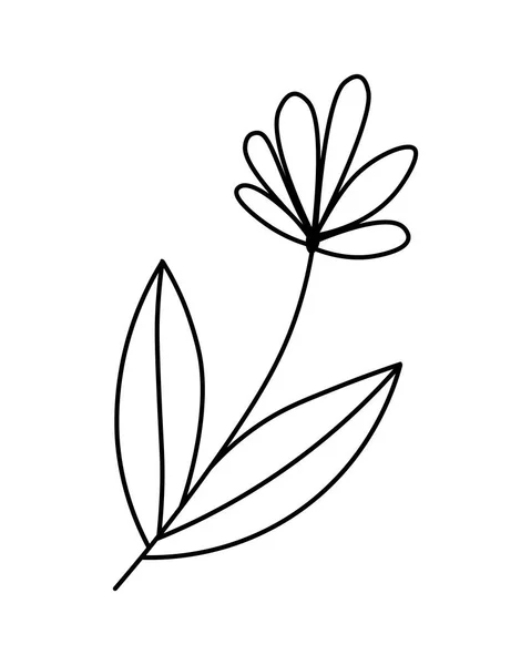 Bloemenlijn Decoratie Vector Illustratie Doodle Stijl Geïsoleerd Achtergrond Tekening Voor — Stockvector